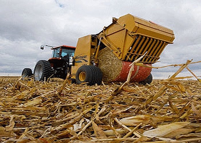 Биотопливо из кукурузы опасней для экологии, чем бензин