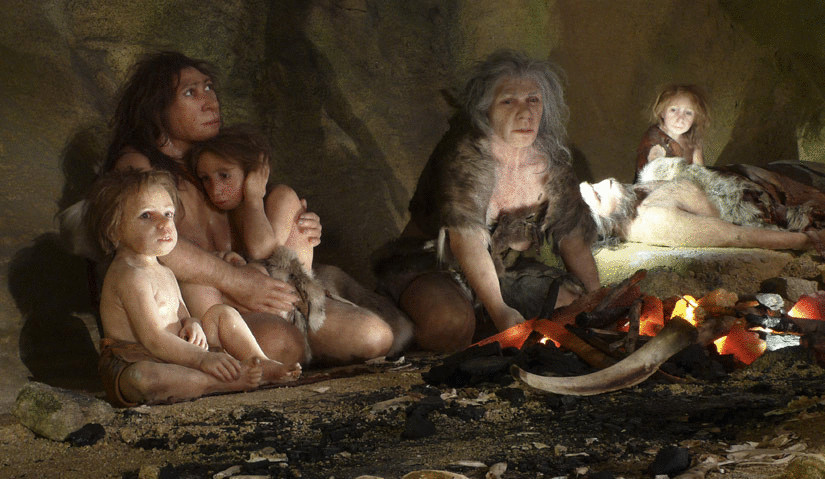 Неандертальцы умели варить пищу
