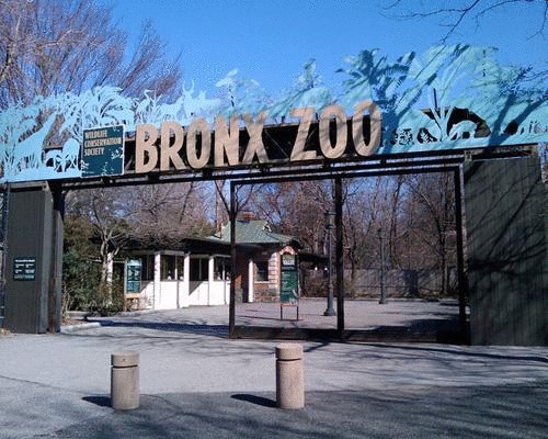 Самые известные зоопарки мира