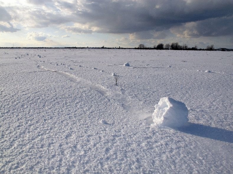 Снежные цилиндры - редкое метеорологическое явление