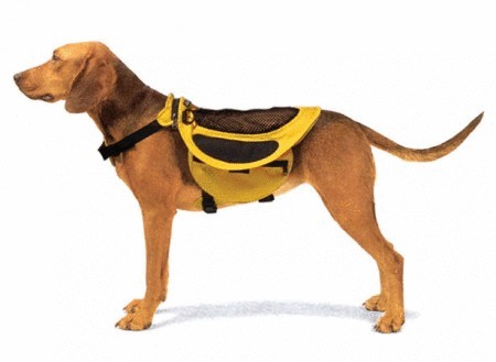 Рюкзак для собак