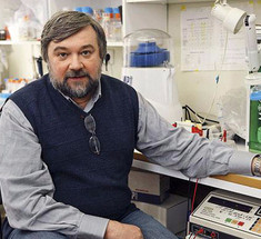 Молекулярный биолог Андрей Гудков: Рак и старость — братья-близнецы