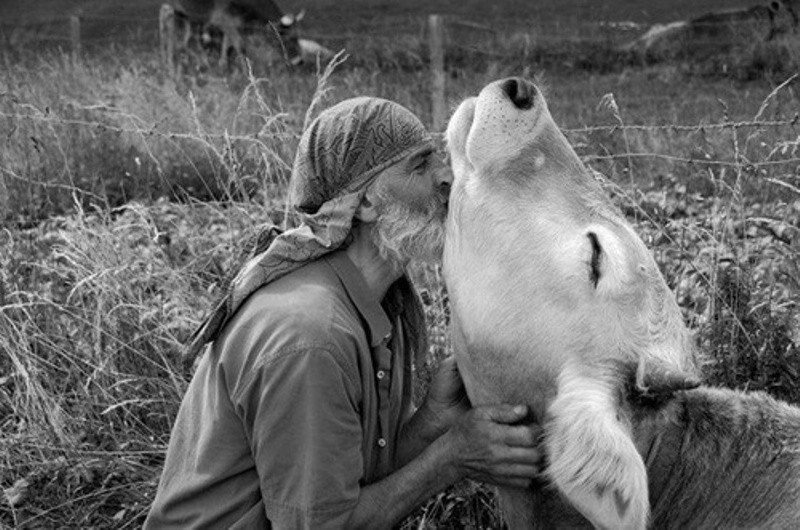 Трогательные фотографии о любви животных к людям