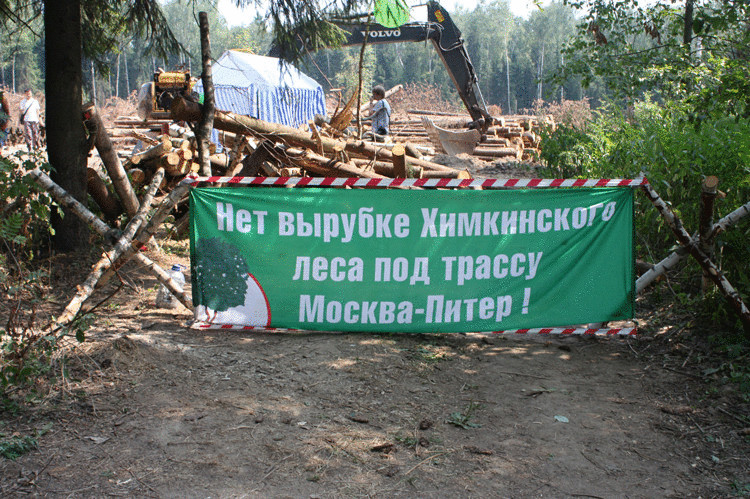 Уничтожение лесных угодий для строительства платной магистрали Москва - Санкт-Петербург продолжается