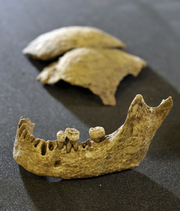 Найденный в Шотландии скелет мог принадлежать королю викингов