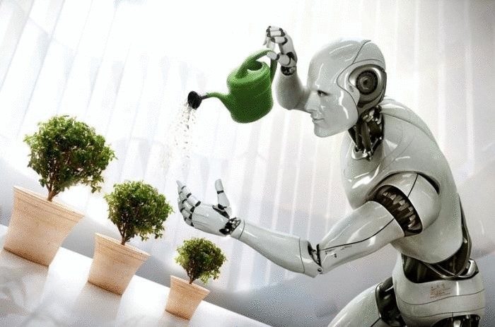 Искусственный интеллект и глубокое обучение: роботы-слуги становятся реальностью