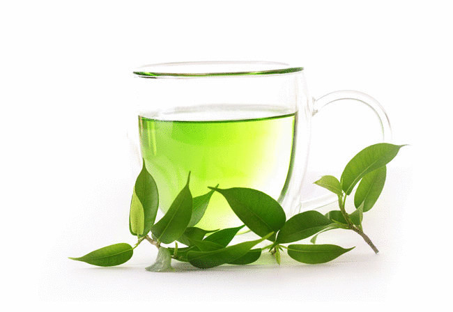 6 причин начать пить зеленый чай