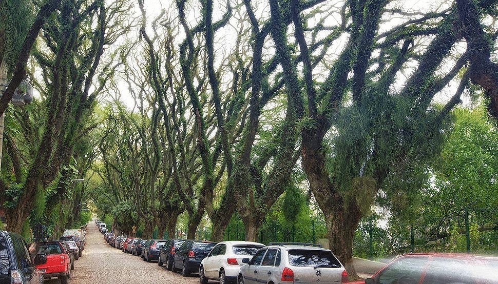 Зеленая улица в Бразилии