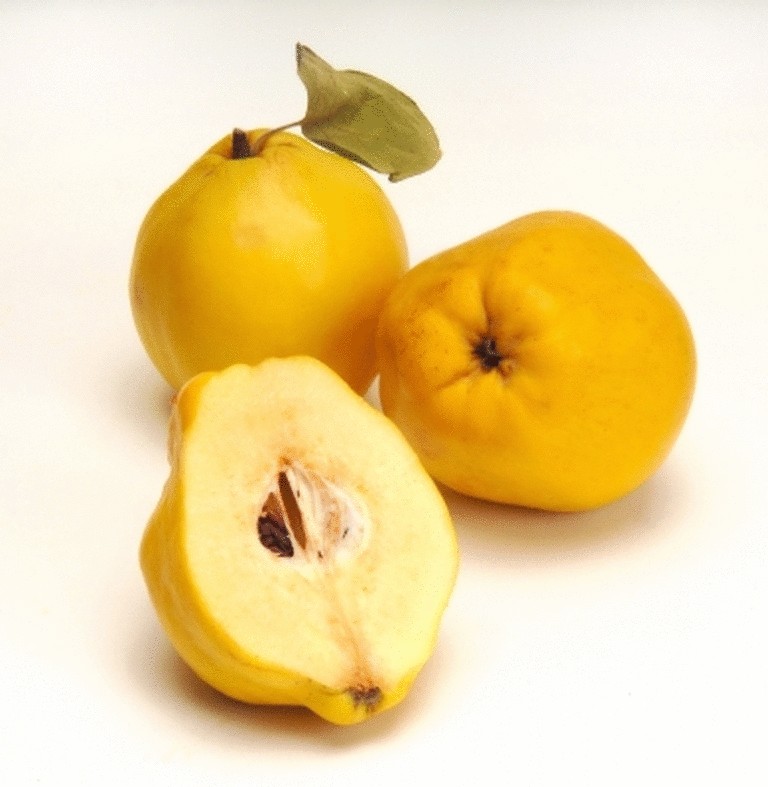 Айва-полезный фрукт