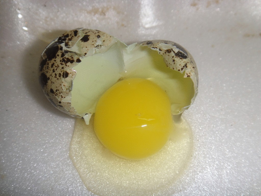 Польза перепелиных яиц