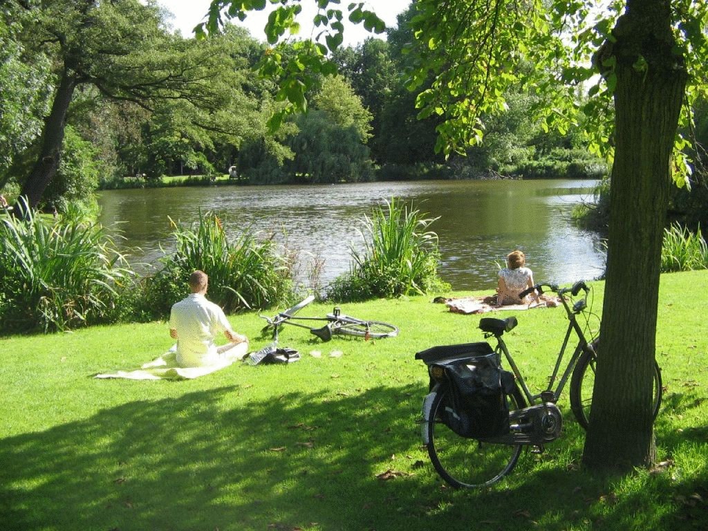 Эко парк в Амстердаме для взрослых и детей