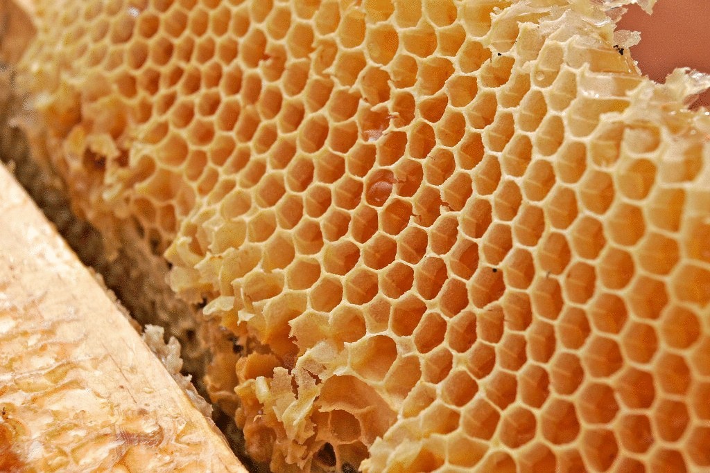 Чем полезны медовые соты для человека
