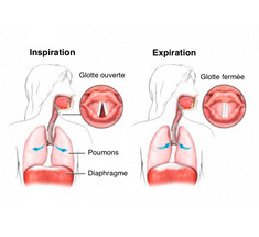 «Уджай»: оздоровительная дыхательная техника для кардиореспираторной системы