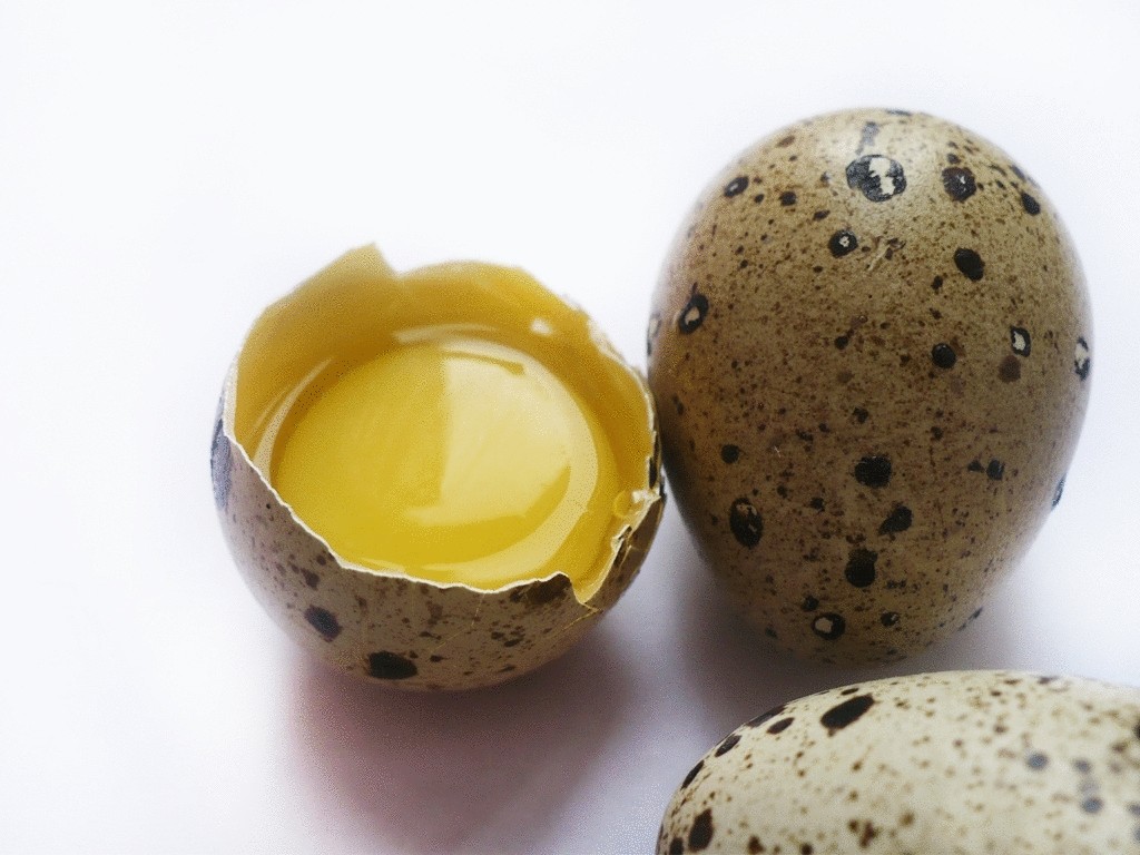Неоценимая польза перепелиных яиц