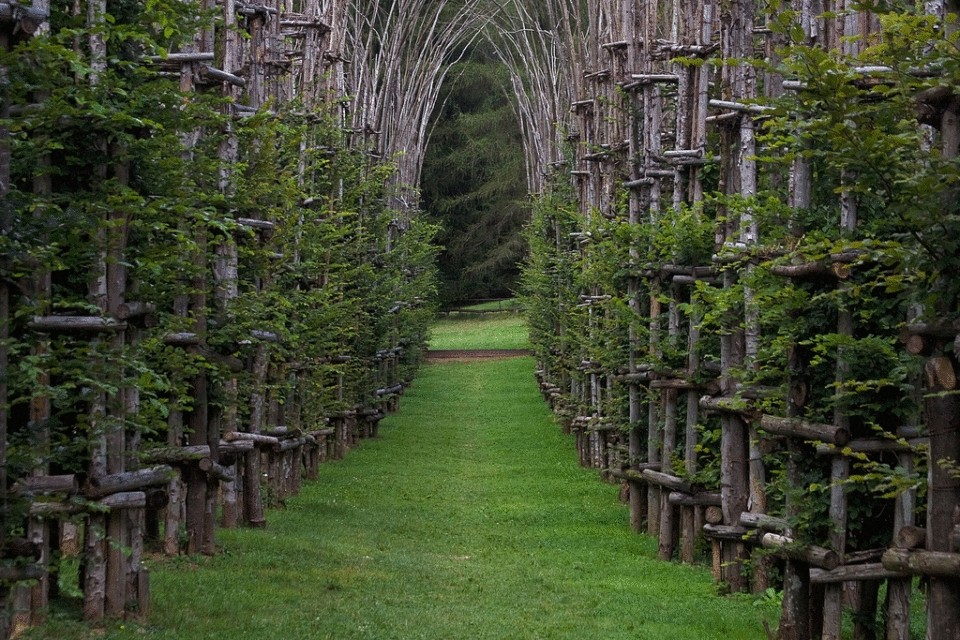 Итальянский собор из живых деревьев