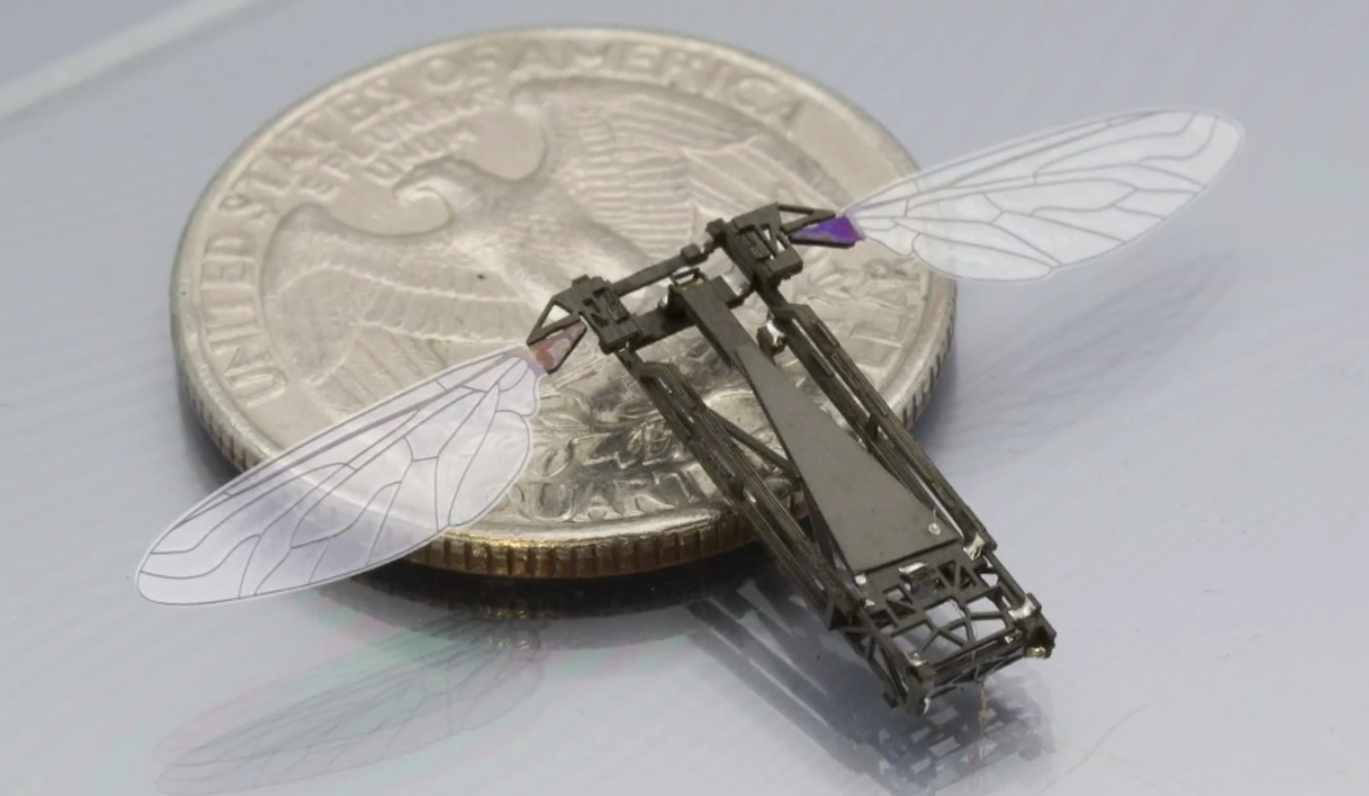 RoboBee — самый маленький робот в мире