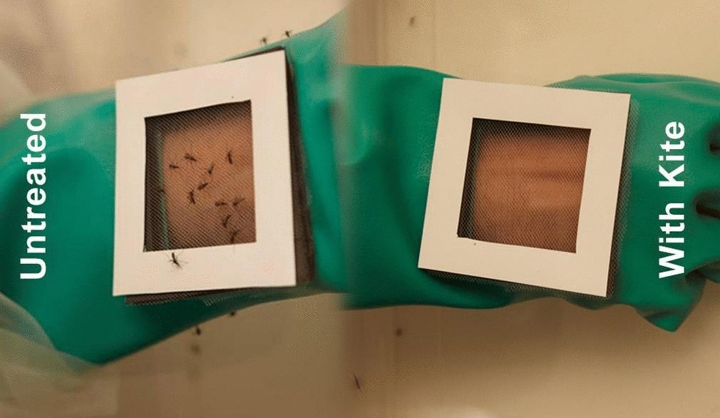 Создан нетоксичный пластырь, защищающий от комаров  