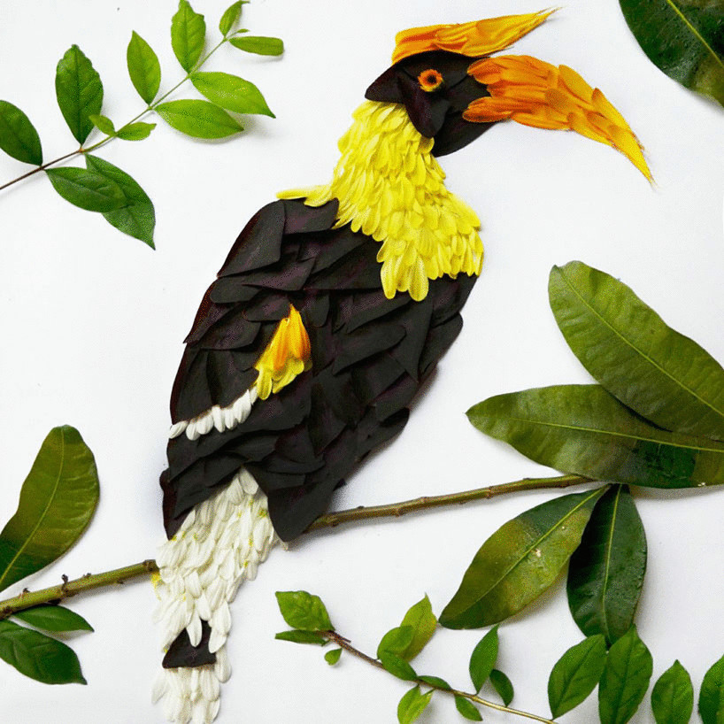 Впечатляющие экзотические птицы из цветочных лепестков
