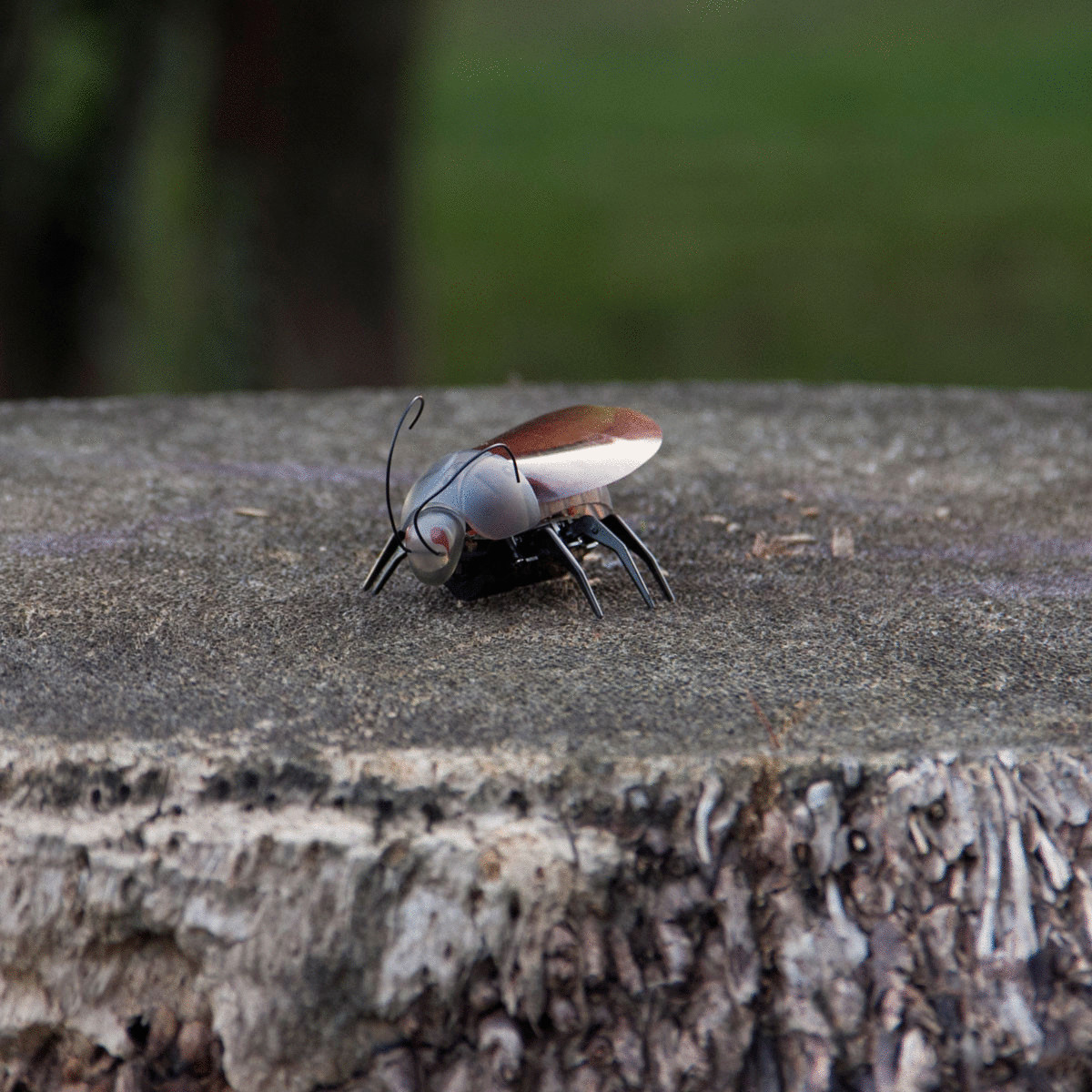Создано электронное насекомое под управлением iPhone 