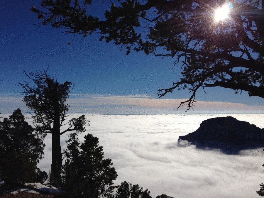В Большом каньоне впервые за 10 лет появился туман