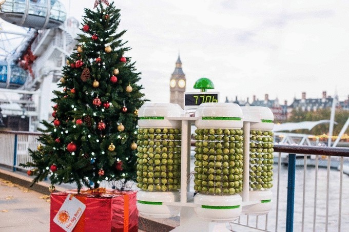 Новогодняя гирлянда в Лондоне работает от капусты