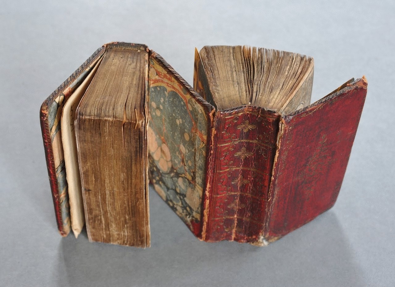 Уникальная книга 16 века, которую можно прочитать шестью способами  
