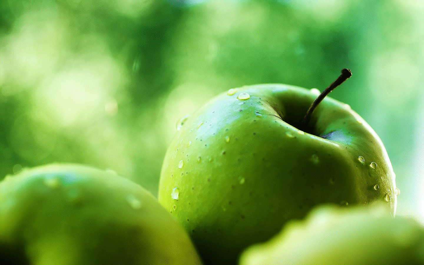 Яблоки способны омолодить организм на 17 лет