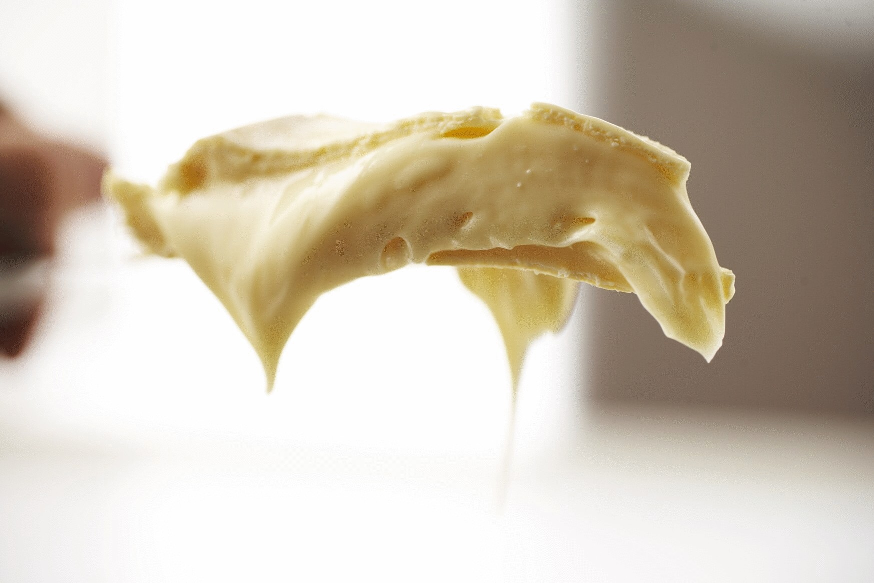 Какой сыр вреден для здоровья?