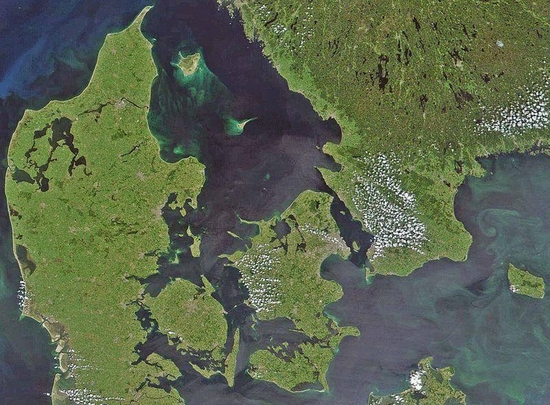 Балтийское море стало крупнейшей мертвой зоной