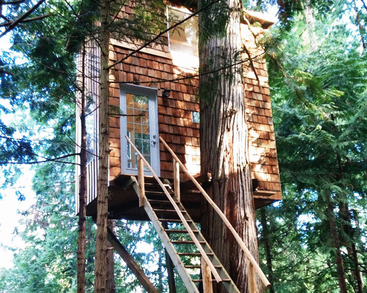 Raven Loft — маленький дом на дереве в Канаде