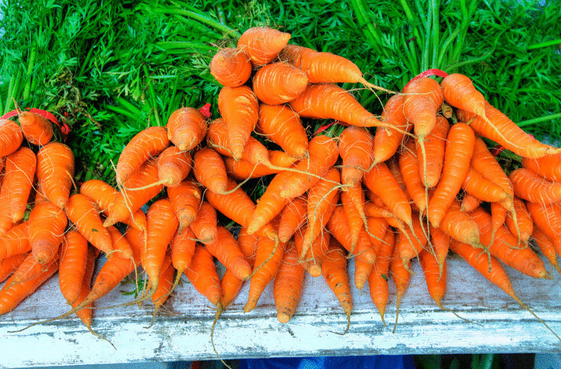 Как на  2,4 м²  получить урожай моркови, которого хватит до следующего сезона