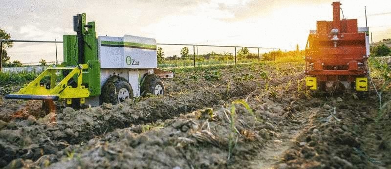 25 кампаний, производящих роботехнику для сельского хозяйства
