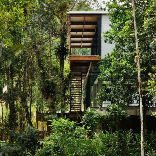 Экокоттедж в тропическом лесу Бразилии