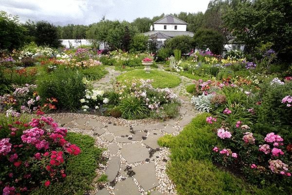 15 цветочных "спецэффектов", которые изменят ваш сад