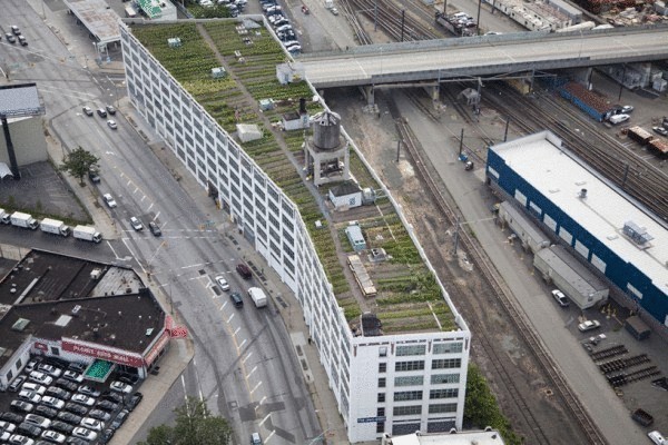 Огород 2,8 га на нью-йоркской крыше Огород 2,8 га на нью-йоркской крыше