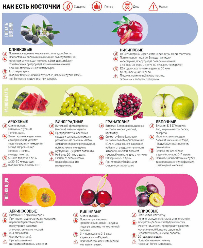 Узнайте какие фрукты полезнее есть с косточками, а какие – без
