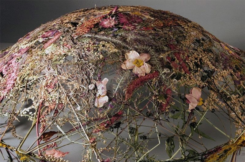 Сосуды из сухих цветов от Ignacio Canales Aracil