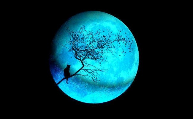 Сегодня можно будет наблюдать редкую " голубую Луну" 