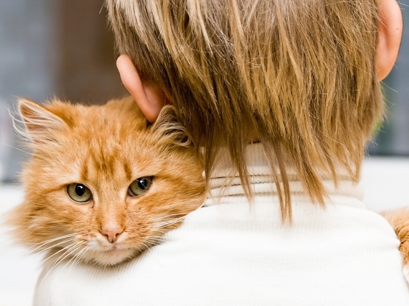 Анималотерапия или какие домашние животные признанные лекари