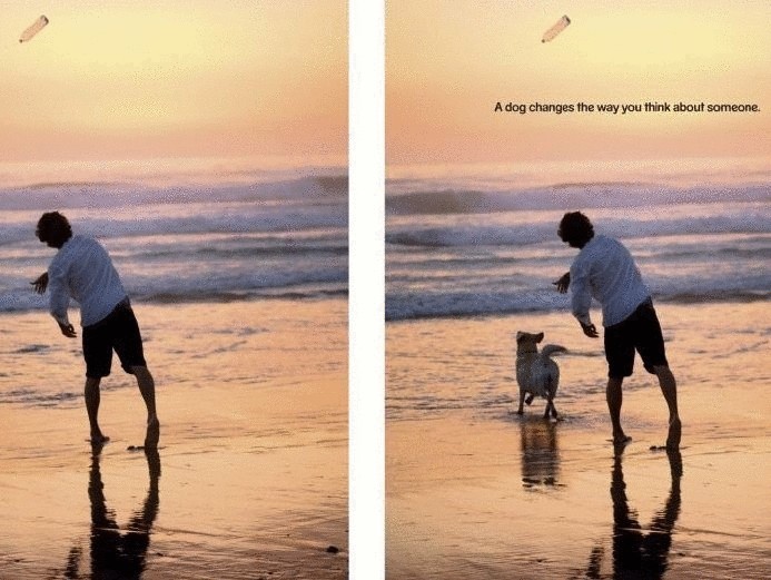 Фоторепортаж—насколько  собака может изменить мнение окружающих о человеке