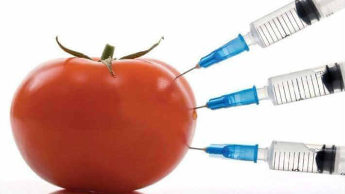  Россия объявила первый в мире запрет на импорт ГМО-содержащих продуктов