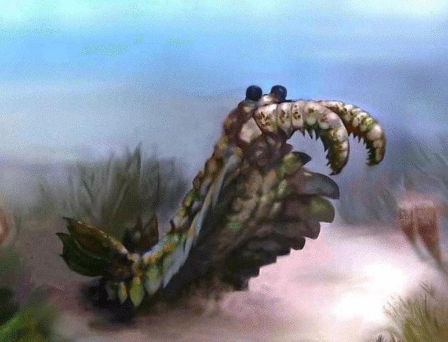 Палеонтологами  обнаружены хищные креветки