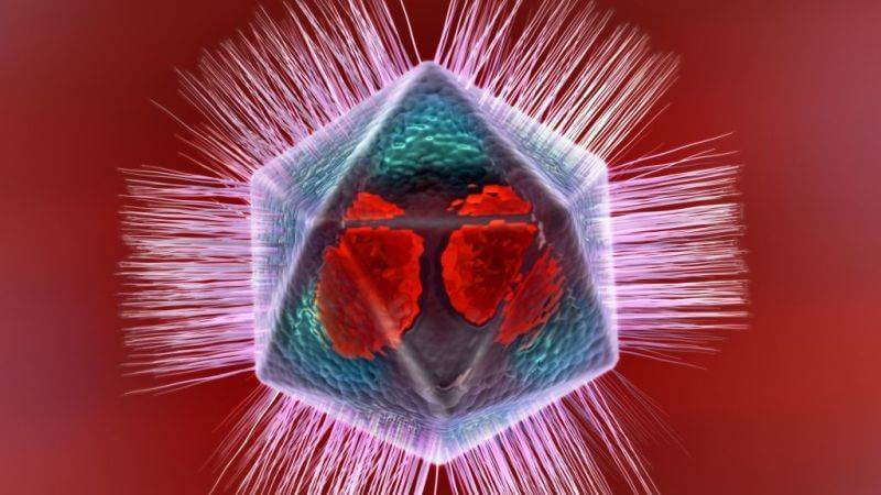 Учёные:  у некоторых вирусов есть собственная иммунная система