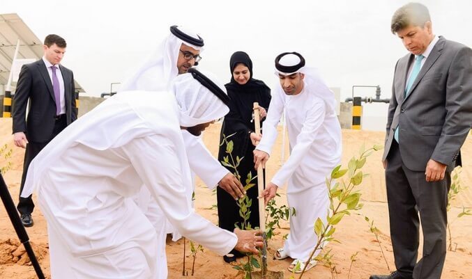 Первая в мире ферма по выращиванию продуктов в пустыне в ОАЭ 