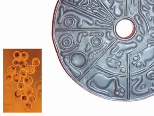 Удивительный древний "генетический диск"