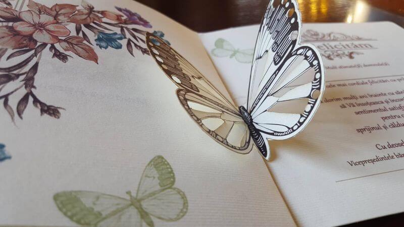  Креатив из картона —невероятные бабочки!