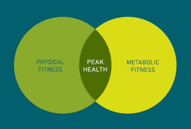 Метаболическая гибкость: фитнес для Вашего обмена веществ