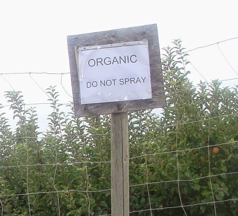 Закон об органической продукции  на подходе