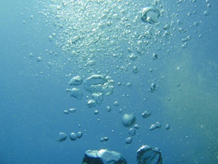 Изобретены микроботы, эффективно очищающие воду