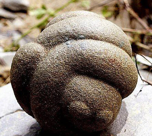 Трованты — удивительные камни, которые могут расти